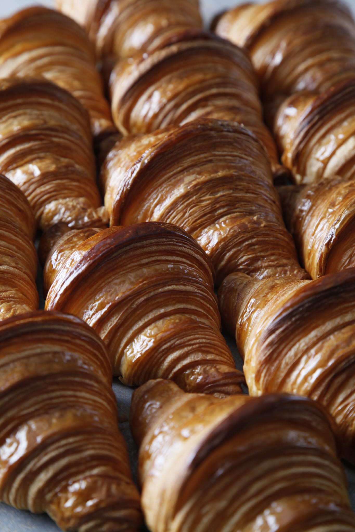 Ecole du Pain Bread & Pastry Masterclass by Chef Jeremy Ballester