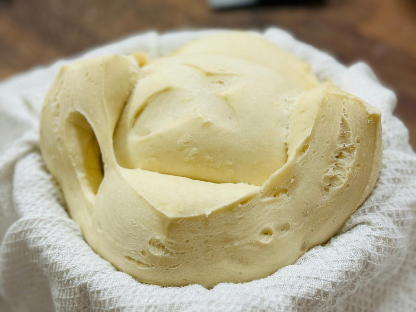 *2025 PANETTONE 世界冠軍 WORLD CHAMPION Chef Giovanna Chen's Panettone Masterclass