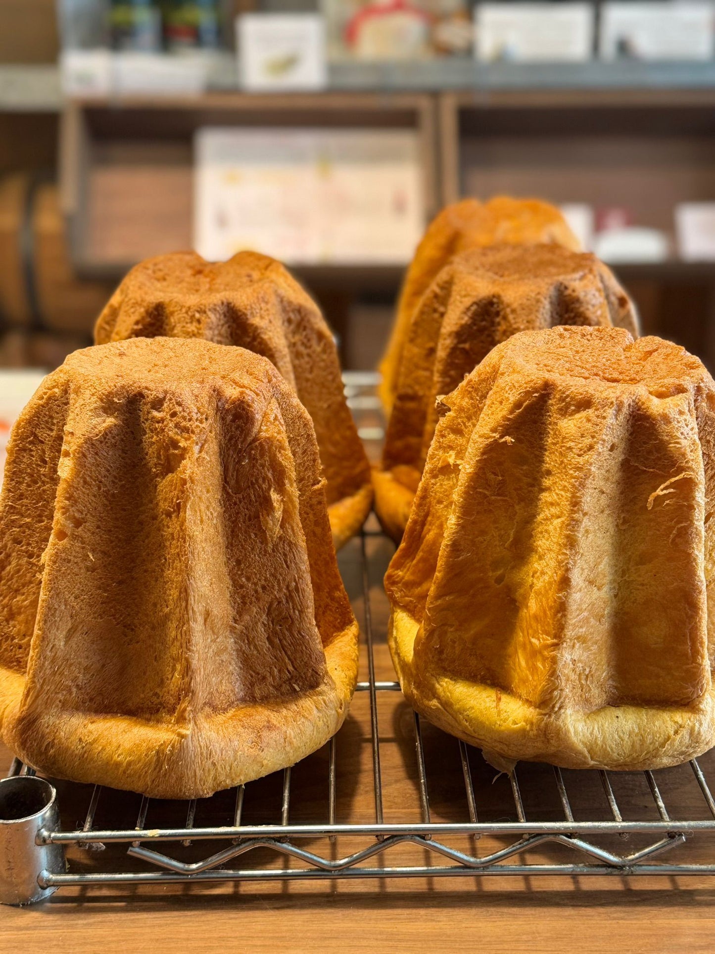 *2025 PANETTONE 世界冠軍 WORLD CHAMPION Chef Giovanna Chen's Panettone Masterclass