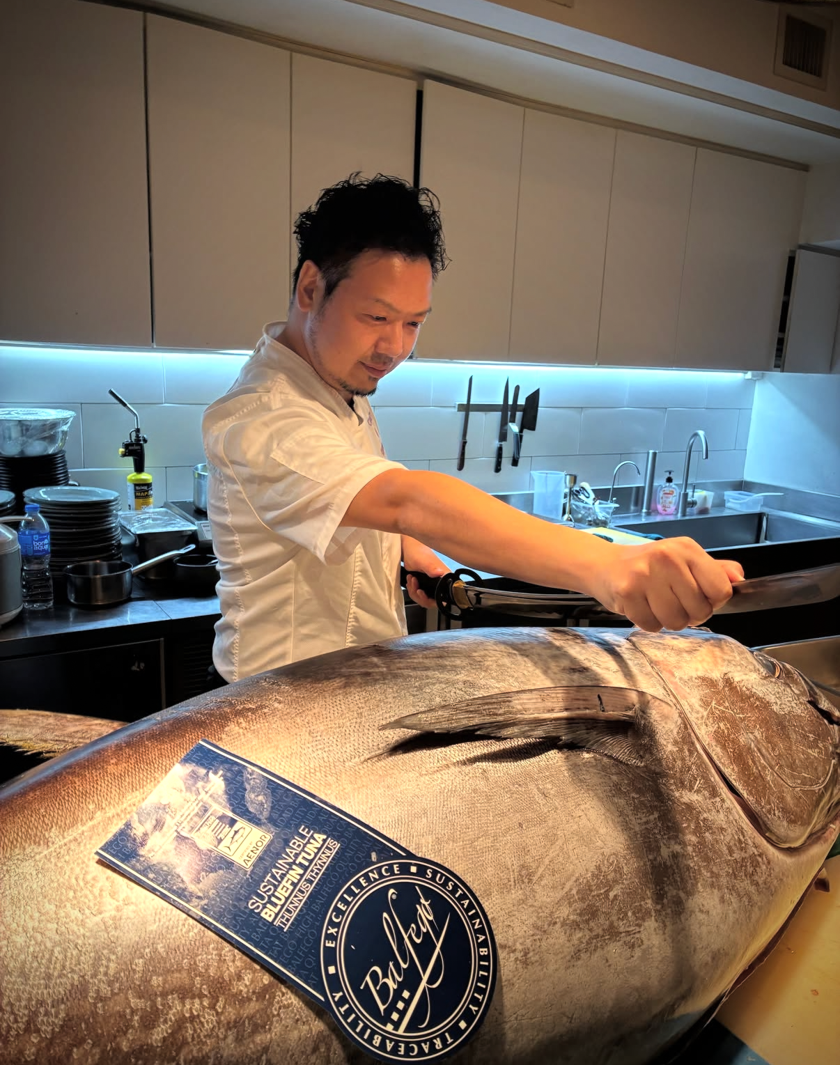 Sushi & Negitoro Workshop 🍣🐟 🔪🇯🇵 日本壽司體驗班